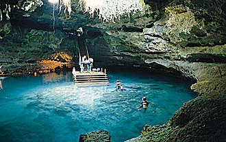 Springs in Florida : diving in Crystal River and the Devil's Den